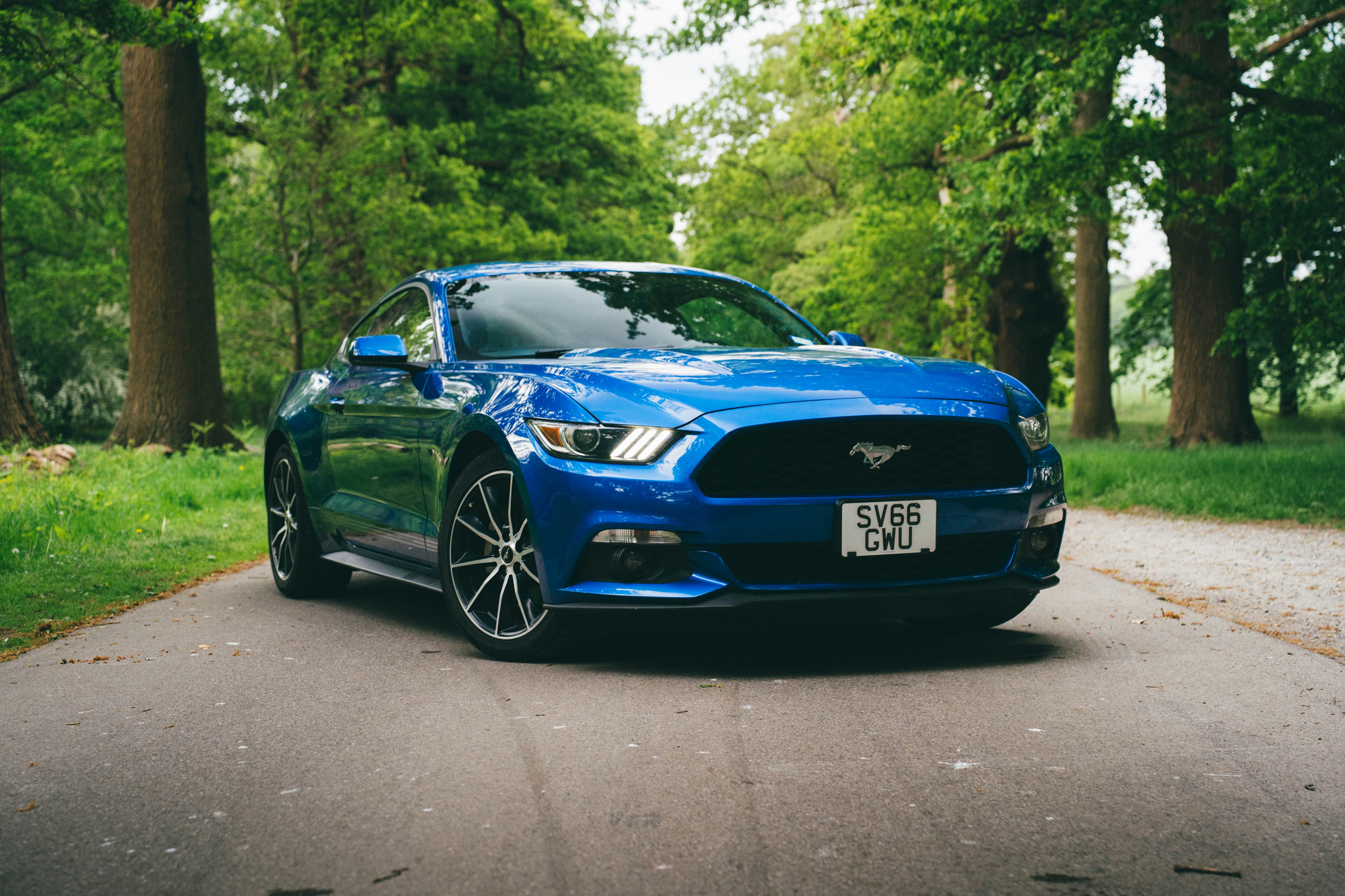 Khám Phá Thế Giới Đầy Hấp Dẫn Tại https//sv66.vegas/ - Trải Nghiệm Chưa Từng Có